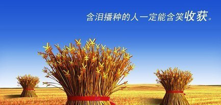 网站内容不更新|网站需要每天添加内容吗|北京制作网站 网站内容不更新|网站需要每天添加内容吗|北京制作网站
