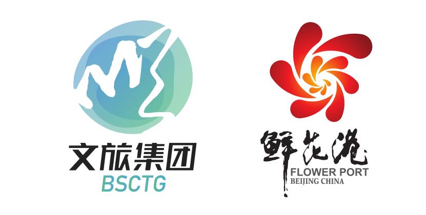 政府网站建设 政府网站建设